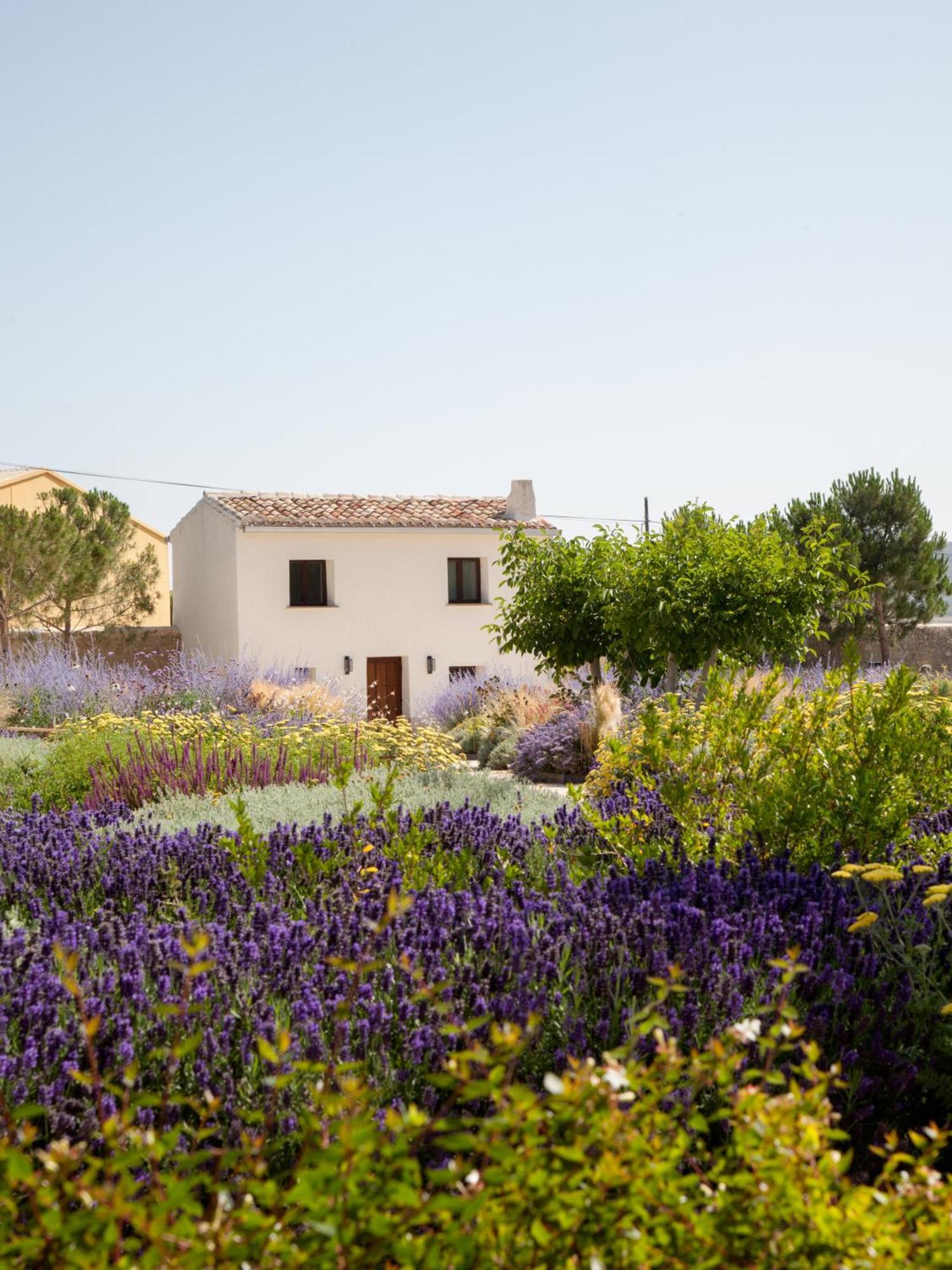 فندق كاستروجايرزفي  Quinta San Francisco المظهر الخارجي الصورة