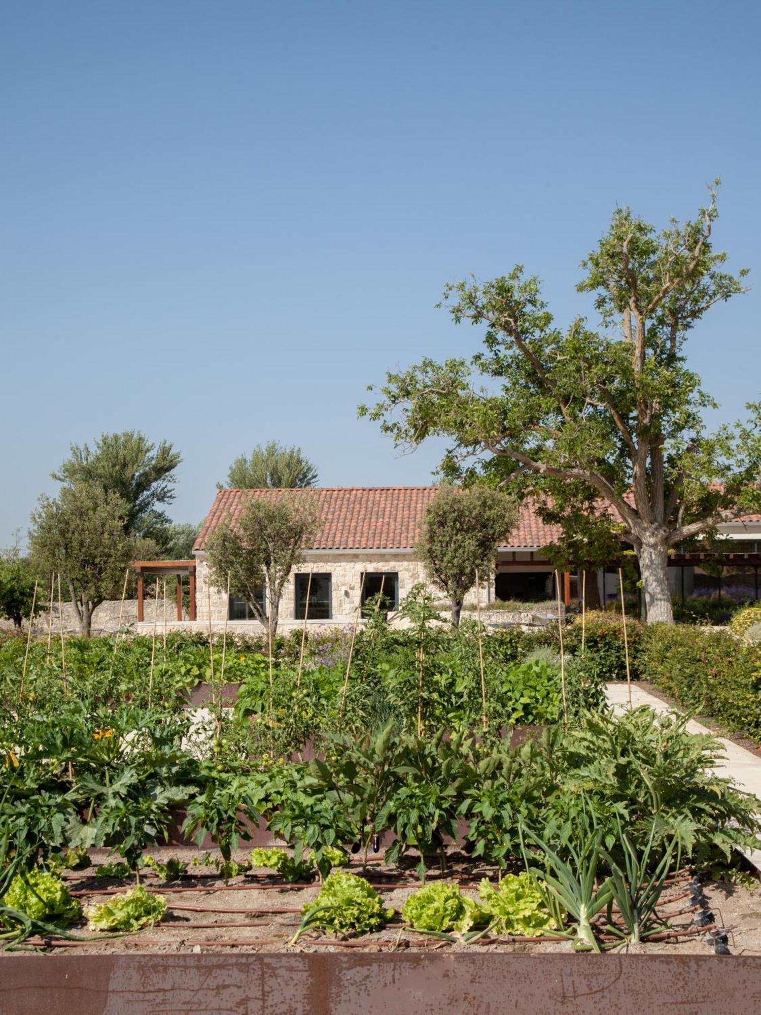 فندق Quinta San Francisco كاستروجايرز المظهر الخارجي الصورة